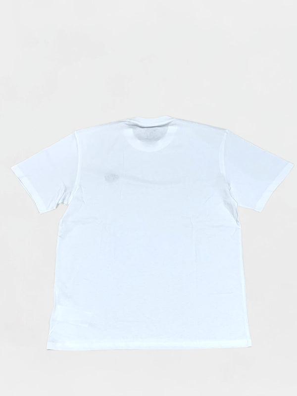 DICKIES T-SHIRT Uomo DK0A4YAIWHX1