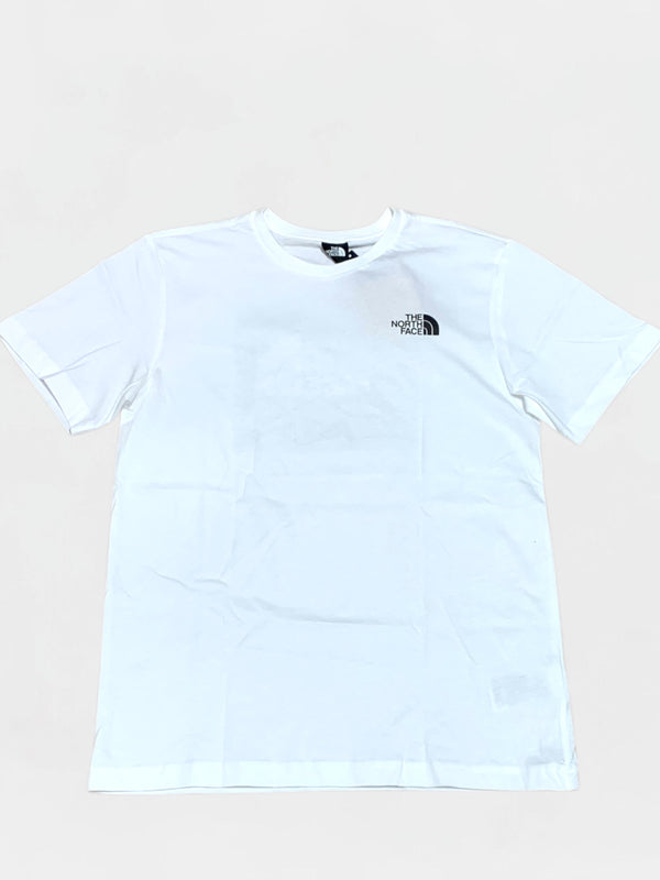 THE NORTH FACE T-SHIRT Uomo NF0A87NVFN41