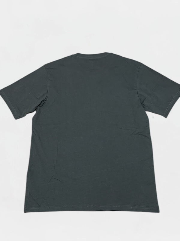 DICKIES T-SHIRT Uomo DK0A4XDBOGX1
