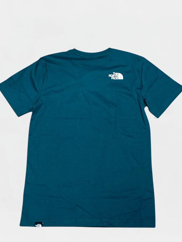 THE NORTH FACE T-SHIRT Uomo NF0A87NG6GI1
