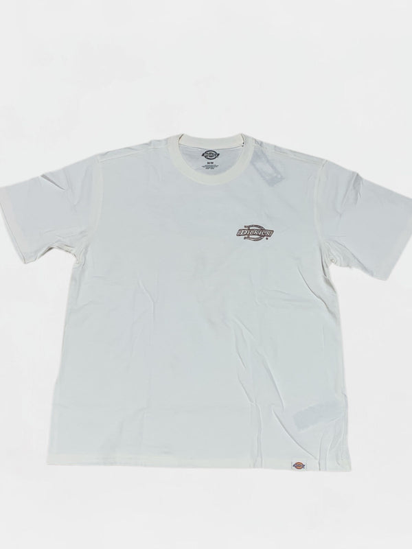 DICKIES T-SHIRT Uomo DK0A4ZATC481