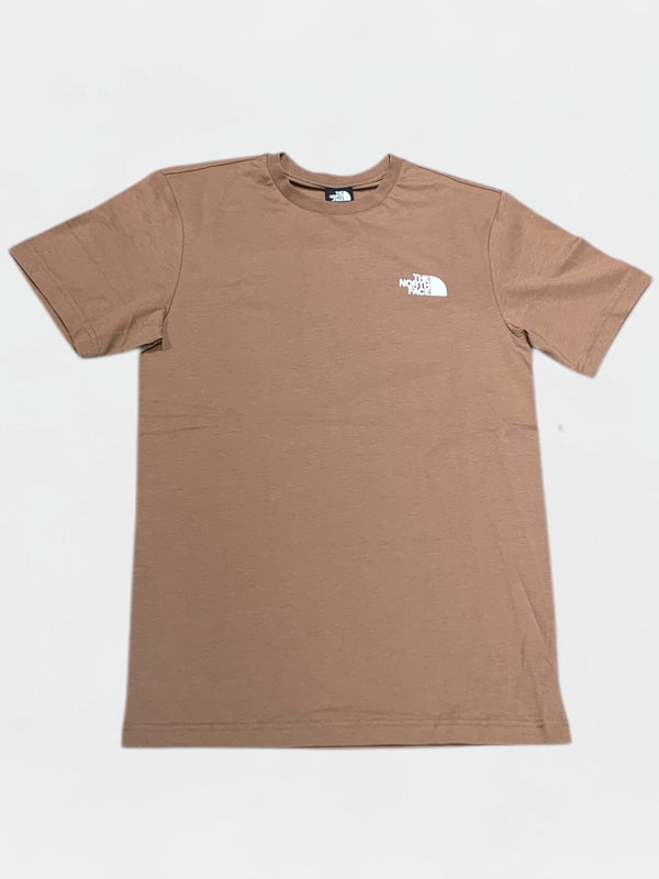 THE NORTH FACE T-SHIRT Uomo NF0A87NPAR41