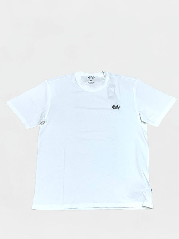 DICKIES T-SHIRT Uomo DK0A4YAIWHX1
