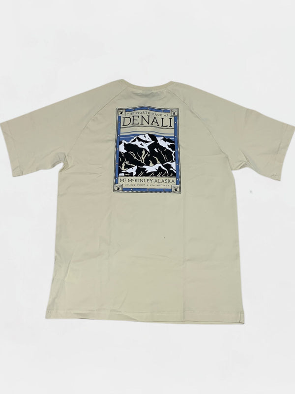 THE NORTH FACE T-SHIRT Uomo NF0A87NU3X41