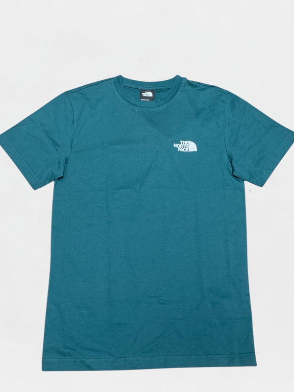 THE NORTH FACE T-SHIRT Uomo NF0A87NG6GI1
